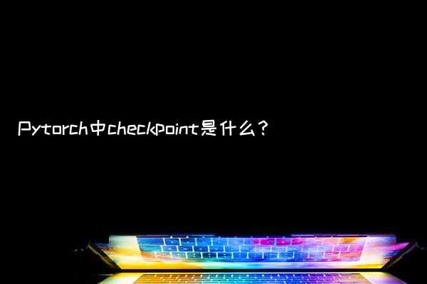 Pytorch中checkpoint是什么？