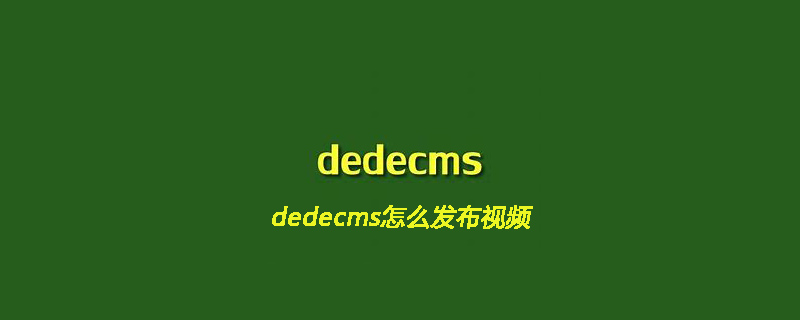 Dedecms视频发布教程：轻松上传、编辑与分享您的精彩视频